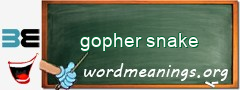 WordMeaning blackboard for gopher snake